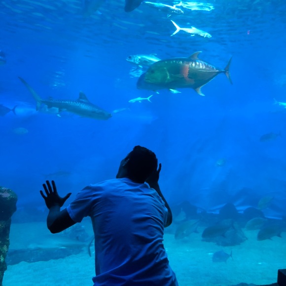 Meet your Posher, Kyle - Picture 1 of 1